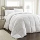 White__The Home Talk