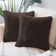 Chocolate__The Home Talk