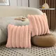 Peach__The Home Talk