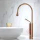 Rose Gold__Gosai
