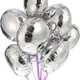 Silver__Lazybeee