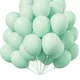 Mint__Lazybeee