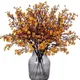 Sunset Orange__Novelty Enterprises