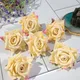 Cream__Novelty Enterprises