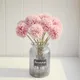 Pink__Novelty Enterprises