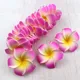 Pink__Novelty Enterprises