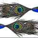 Handmade Peacock 2 Pcs__Novelty Enterprises