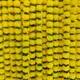 Yellow With Leaf__Novelty Enterprises