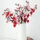 Multi Color__Novelty Enterprises