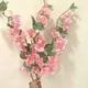 Blush Peach - 3pcs__Novelty Enterprises