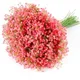 Pink__Novelty Enterprises
