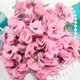 Light Pink__Novelty Enterprises