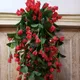 Red__Novelty Enterprises