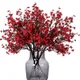 Red__Novelty Enterprises