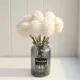 White__Novelty Enterprises