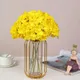 Yellow__Novelty Enterprises