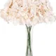 Blush Peach__Novelty Enterprises