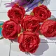 Red (Pack of 6pcs)__Novelty Enterprises