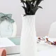 White__Novelty Enterprises