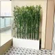 PACK OF 2 PCS__Novelty Enterprises