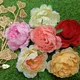 Big Pheony - 12 Pcs__Novelty Enterprises