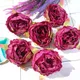 Maroon (Pack of 6pcs)__Novelty Enterprises