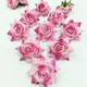 Shaded Pink__Novelty Enterprises