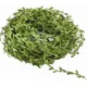 Pack of 30 Mtr__Novelty Enterprises