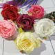 Multi Assorted (Pack of 6pcs)__Novelty Enterprises