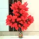 Hot Red__Novelty Enterprises