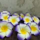 PURPLE__Novelty Enterprises