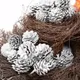 Hanging Silver Pine Cones__Novelty Enterprises