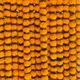 Orange With Leaf__Novelty Enterprises