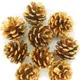 Hanging Golden Pine Cones__Novelty Enterprises