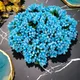 SKY BLUE__Novelty Enterprises