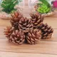 Pack Of 24__Novelty Enterprises