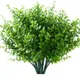 PACK OF 2__Novelty Enterprises