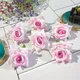 Light Pink__Novelty Enterprises