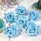 Sky Blue__Novelty Enterprises