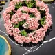 BABY PINK__Novelty Enterprises