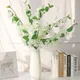White- 3pcs__Novelty Enterprises