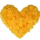 Yellow__Novelty Enterprises