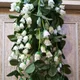 White__Novelty Enterprises