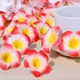 Red__Novelty Enterprises