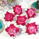 Light Pink__Novelty Enterprises