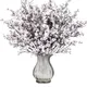 White__Novelty Enterprises