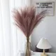 Rosy Pink__Novelty Enterprises