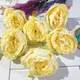 Beinge (Pack of 6pcs)__Novelty Enterprises