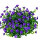 Lavender With Flower__Novelty Enterprises