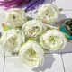 Off-White (Pack of 6pcs)__Novelty Enterprises